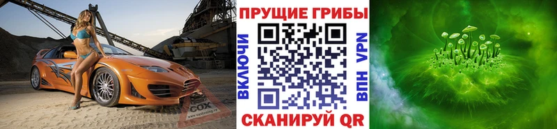Псилоцибиновые грибы Psilocybe  Камбарка 