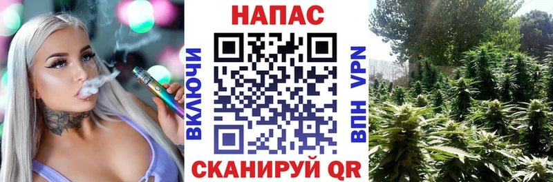 Марихуана гибрид  Камбарка 
